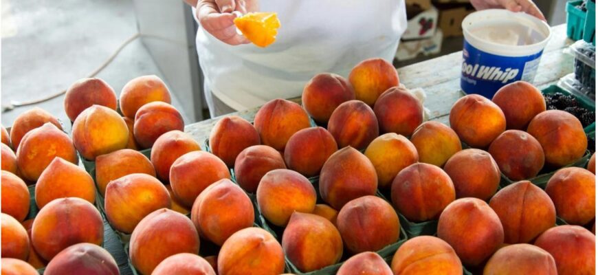 Персики оптом: как закупить выгодно, сохранить качество и снизить списания